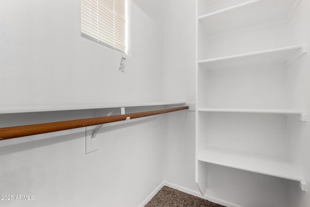 spacious closet with carpet