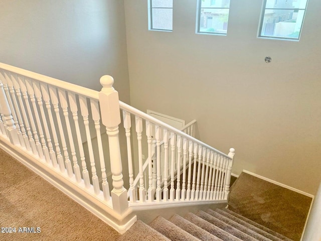 stairs featuring carpet floors