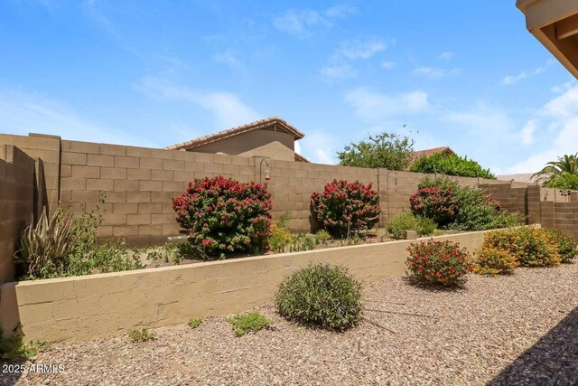 23162 W Lasso Ln, Buckeye, AZ 85326 - view of yard with fence