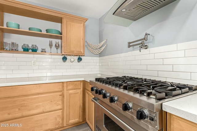 kitchen with custom exhaust hood, stainless steel stove, and tasteful backsplash