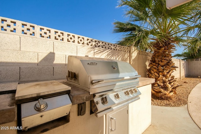 view of patio with grilling area and area for grilling