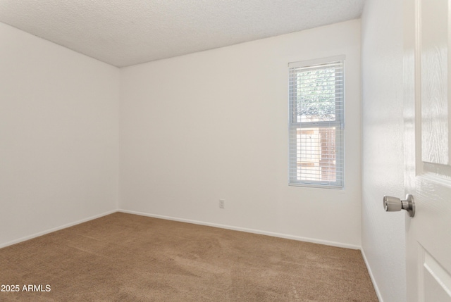 carpeted empty room featuring a textured ceiling and a healthy amount of sunlight