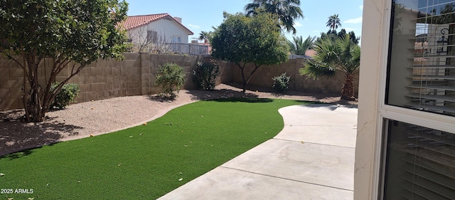 view of yard featuring a fenced backyard and a patio area