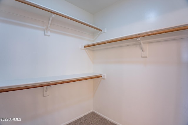 spacious closet with carpet floors