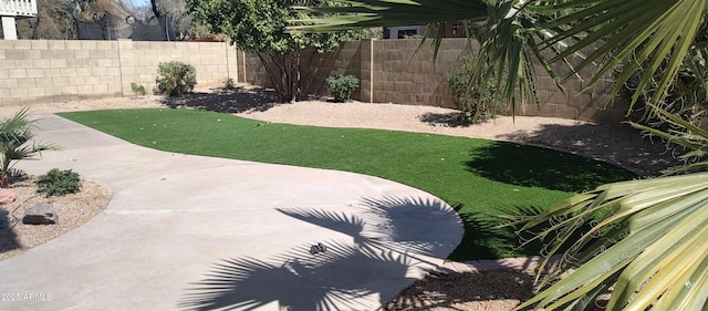 view of yard featuring a patio and a fenced backyard