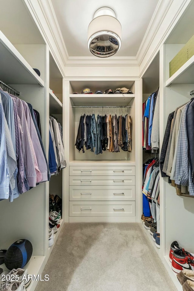6929 E Montreal Pl, Scottsdale, AZ 85254 - spacious closet featuring carpet