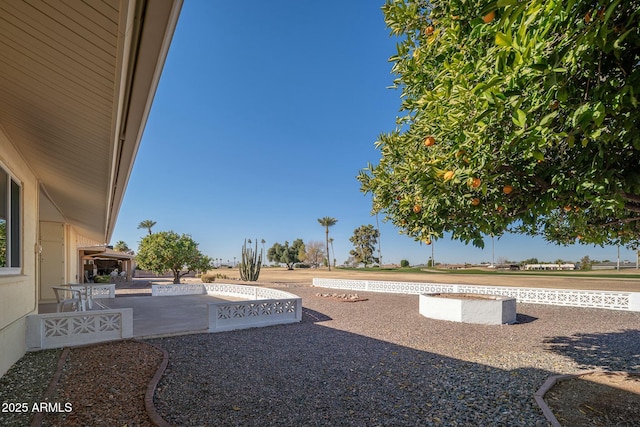 view of yard featuring a patio