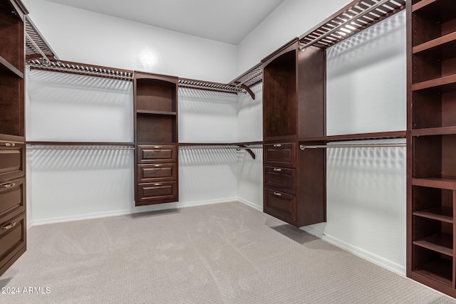 spacious closet featuring light colored carpet