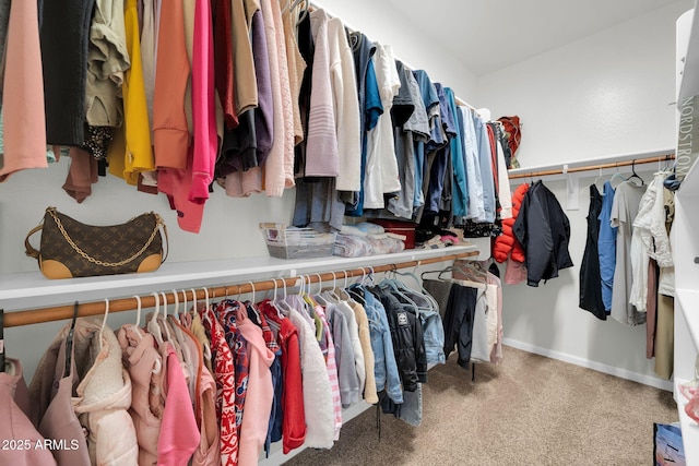 spacious closet with carpet
