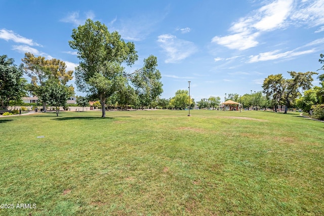 1331 W Baseline Rd Unit 360, Mesa, AZ 85202 - view of green lawn