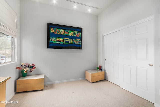 bedroom featuring carpet and track lighting