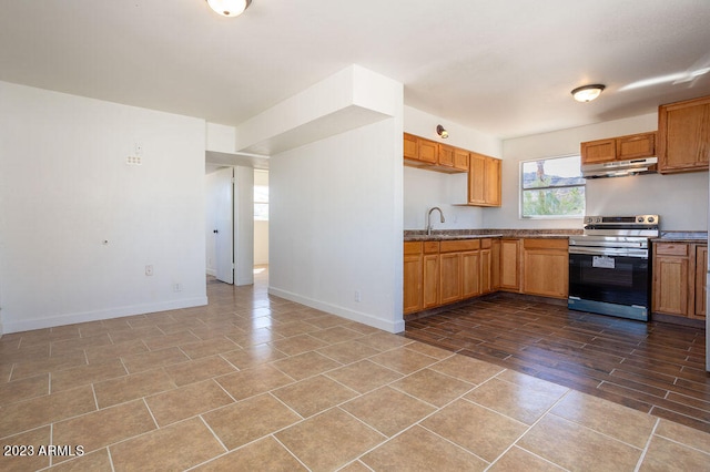 kitchen with range with electric cooktop, light wood-type flooring, and sink