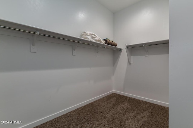 walk in closet with dark carpet