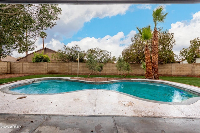 view of swimming pool with a patio, a fenced backyard, and a fenced in pool