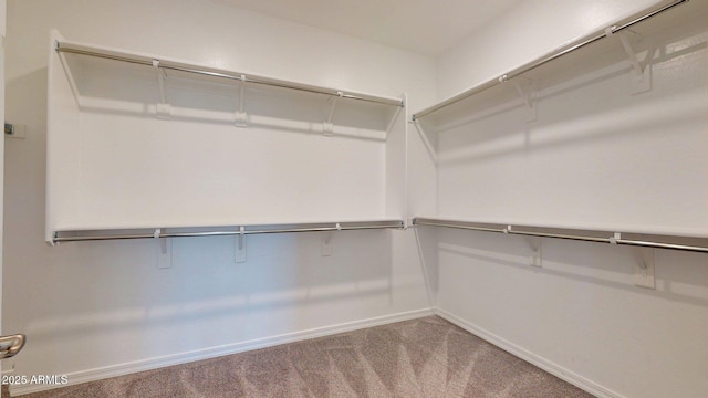 walk in closet featuring carpet
