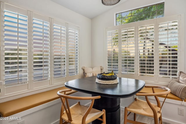 dining area featuring a wealth of natural light