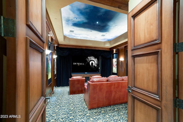 cinema room with a tray ceiling