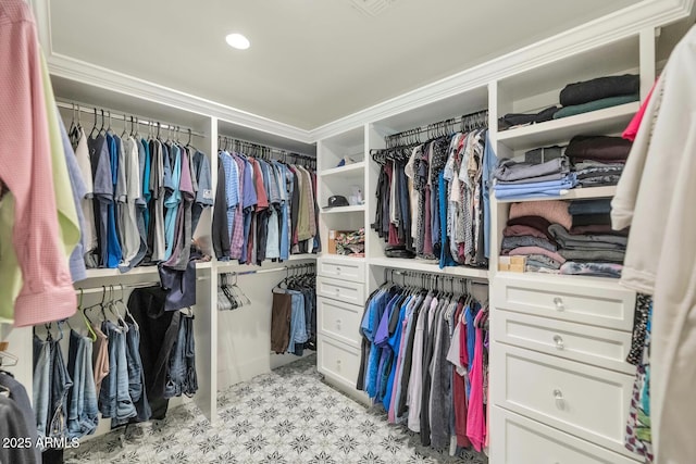 view of spacious closet