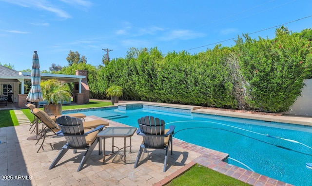 view of pool with a patio area