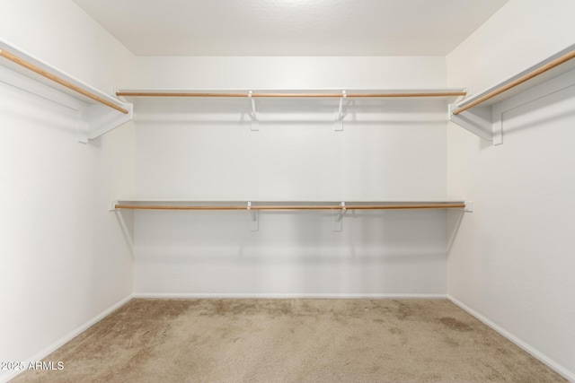 walk in closet with carpet flooring