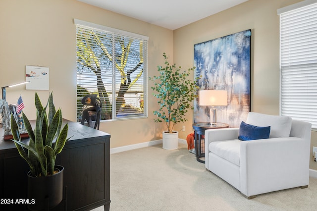 living area featuring carpet floors