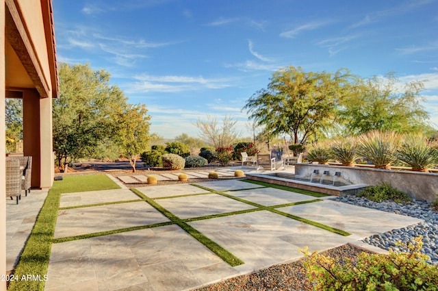 view of yard with a patio and an outdoor kitchen