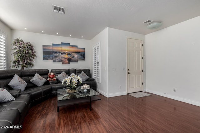 living room featuring dark wood-type flooring