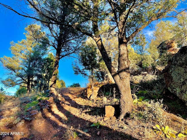 view of mother earth's splendor