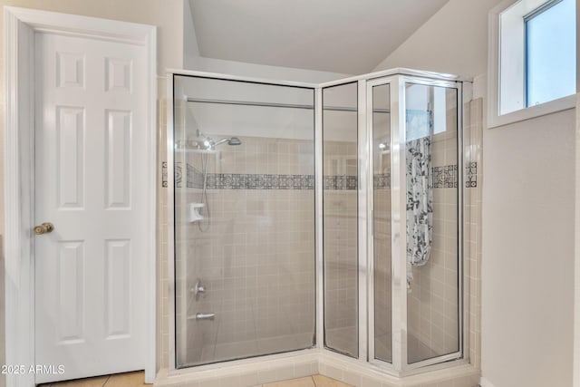 3046 E Dover St, Mesa, AZ 85213 - full bathroom with a stall shower