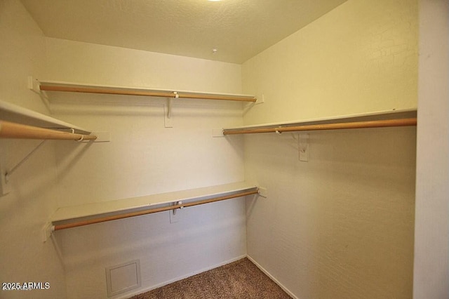 spacious closet with dark colored carpet