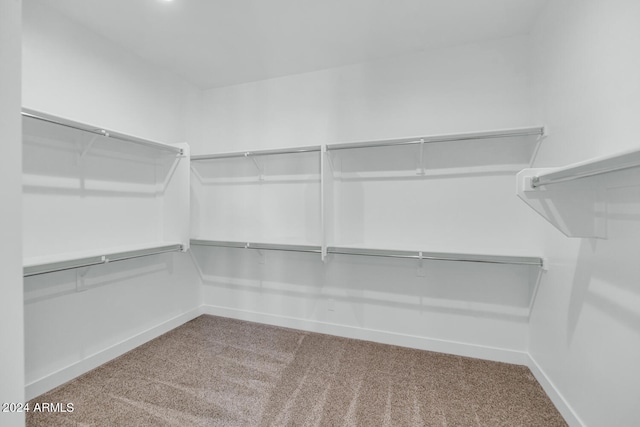 spacious closet with light carpet