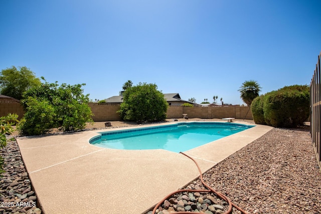 12811 N 44th Dr, Glendale, AZ 85304 - view of pool with a patio area, a fenced backyard, and a diving board