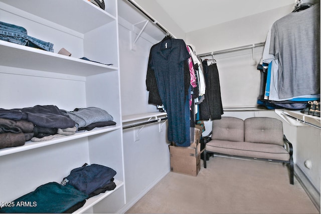 spacious closet featuring carpet floors