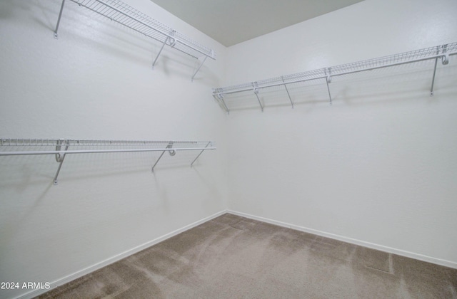 5659 S 239th Dr, Buckeye, AZ 85326 - spacious closet featuring carpet