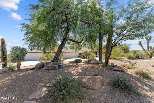 view of yard featuring a garage