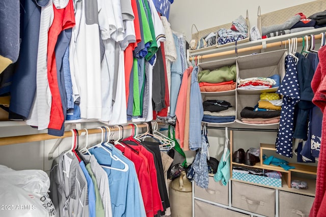 view of walk in closet