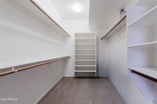 spacious closet featuring carpet