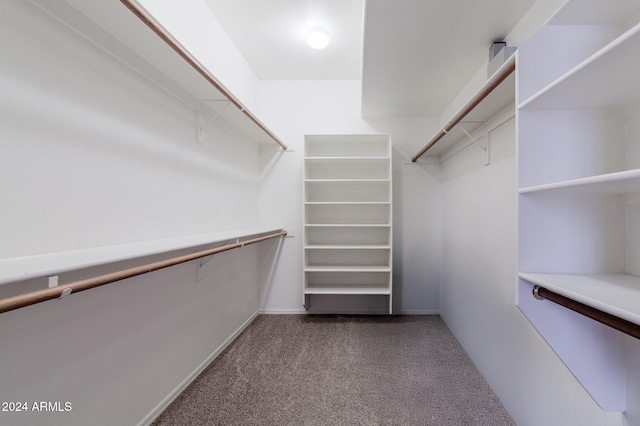 16847 S 13th Way, Phoenix, AZ 85048 - walk in closet featuring dark colored carpet