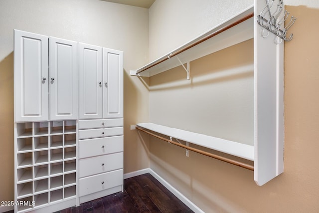 walk in closet featuring dark wood finished floors