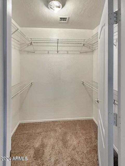 spacious closet featuring carpet flooring