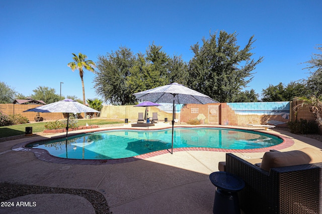 view of swimming pool featuring a diving board and a patio