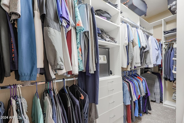 14586 W Columbus Ave, Goodyear, AZ 85395 - spacious closet featuring carpet floors