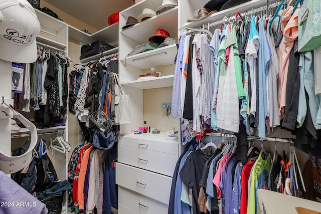 14586 W Columbus Ave, Goodyear, AZ 85395 - view of walk in closet