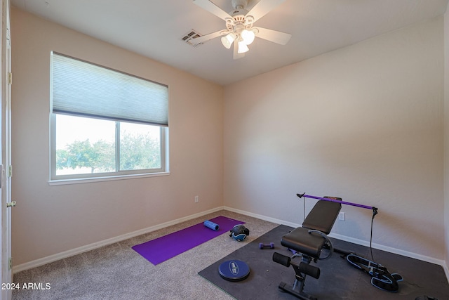 14586 W Columbus Ave, Goodyear, AZ 85395 - exercise area with baseboards, ceiling fan, and carpet flooring