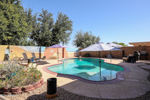 14586 W Columbus Ave, Goodyear, AZ 85395 - view of pool with a patio and a fenced backyard