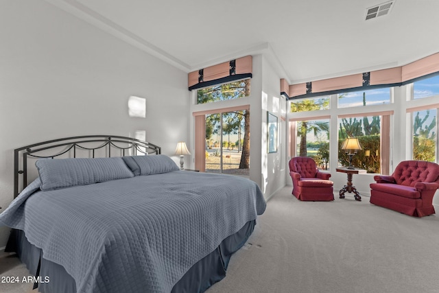 bedroom featuring carpet flooring and high vaulted ceiling