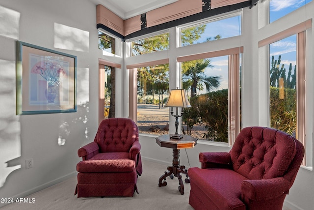 sitting room featuring light carpet