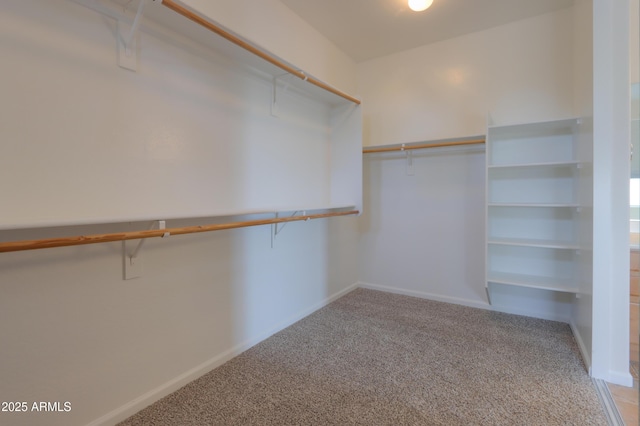 spacious closet featuring carpet flooring