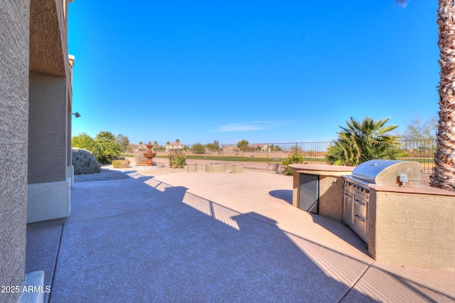 view of patio / terrace with an outdoor kitchen