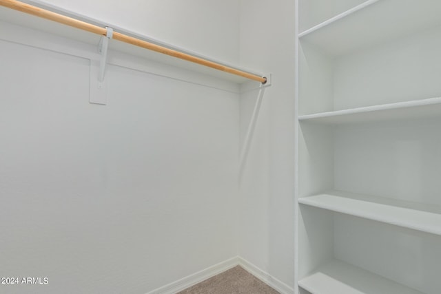 spacious closet with carpet floors